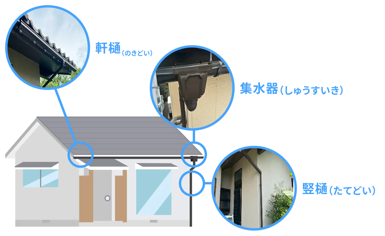 軒樋・縦樋・集水器など雨樋の各パーツを示したイラスト