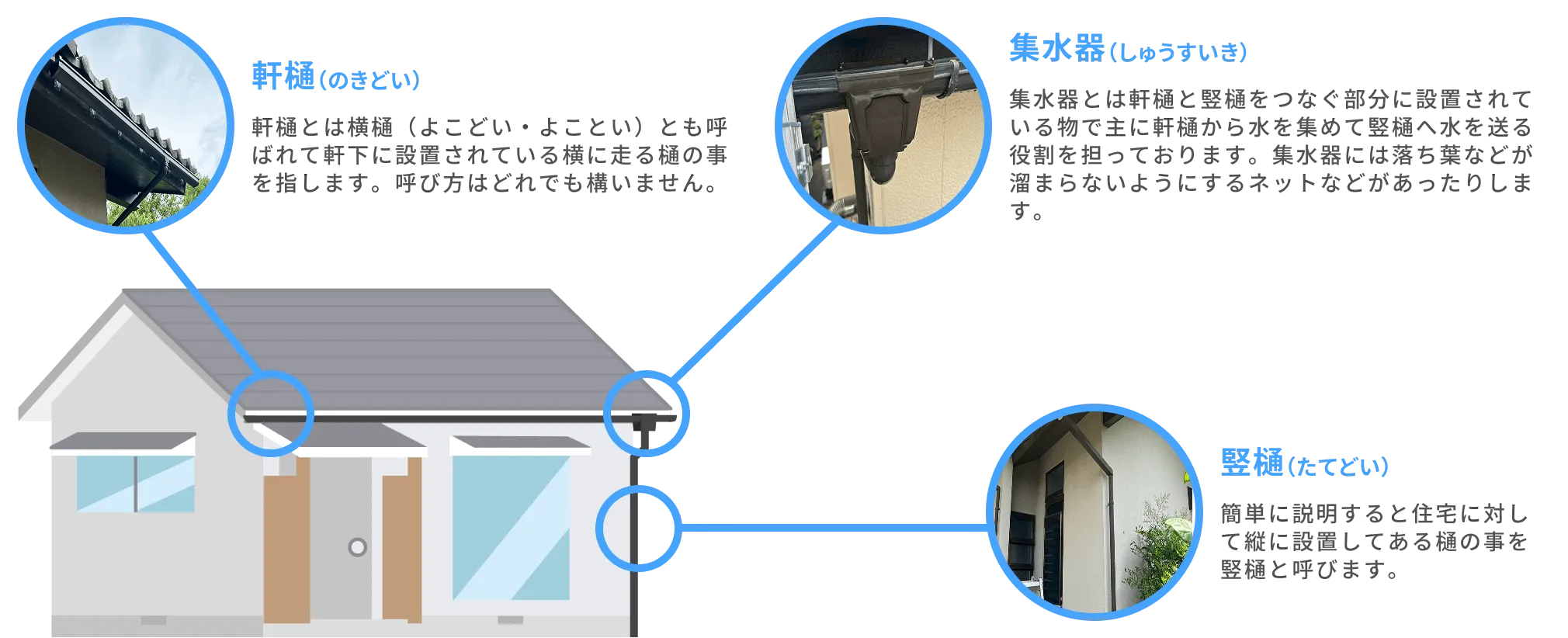 住宅の雨樋構造の解説図。軒下の「軒樋」、接合部の「集水器」、縦方向の「竪樋」それぞれの写真と役割説明