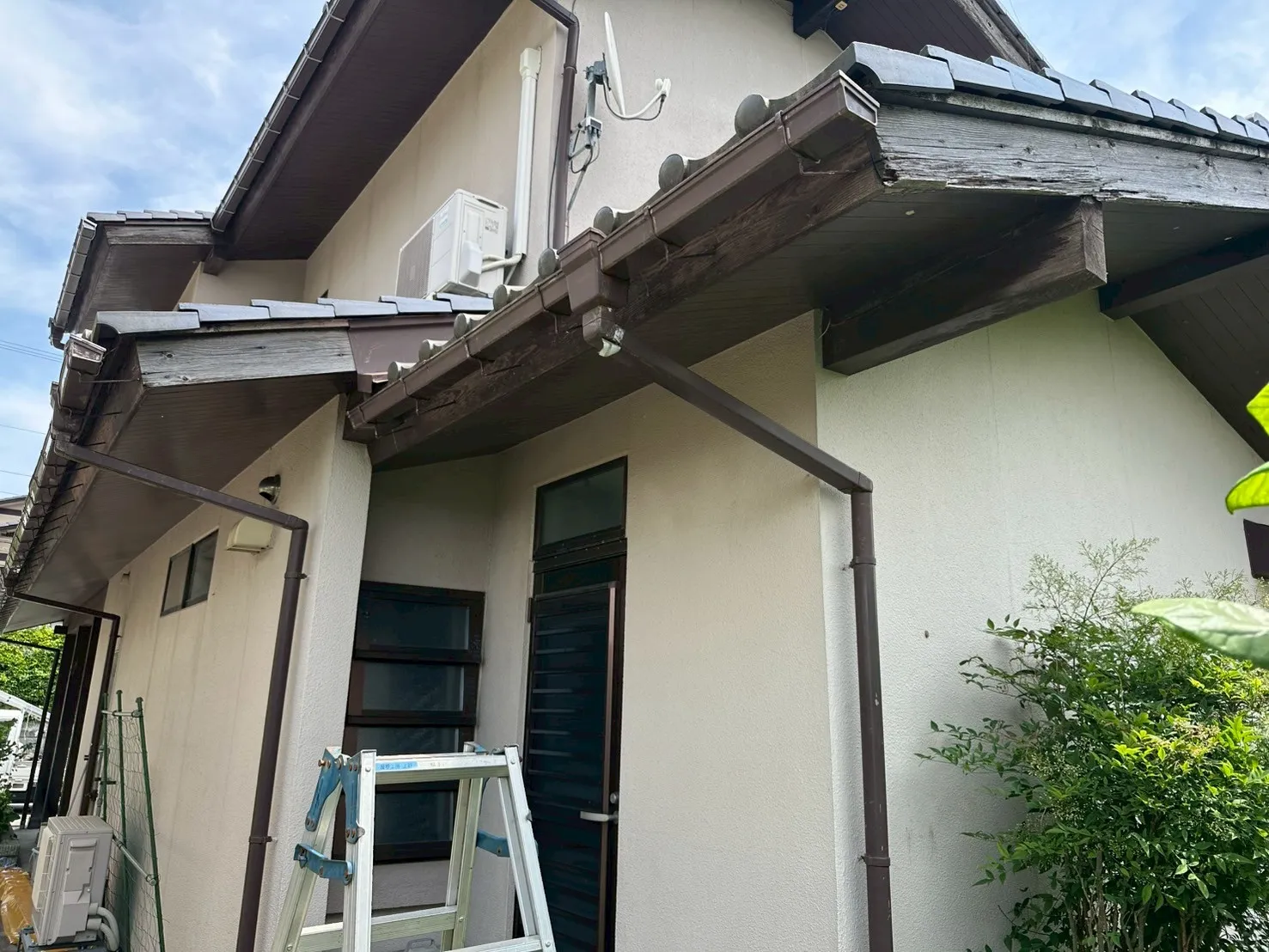雨樋の交換工事を行うためにはしごを設置した施工前の様子