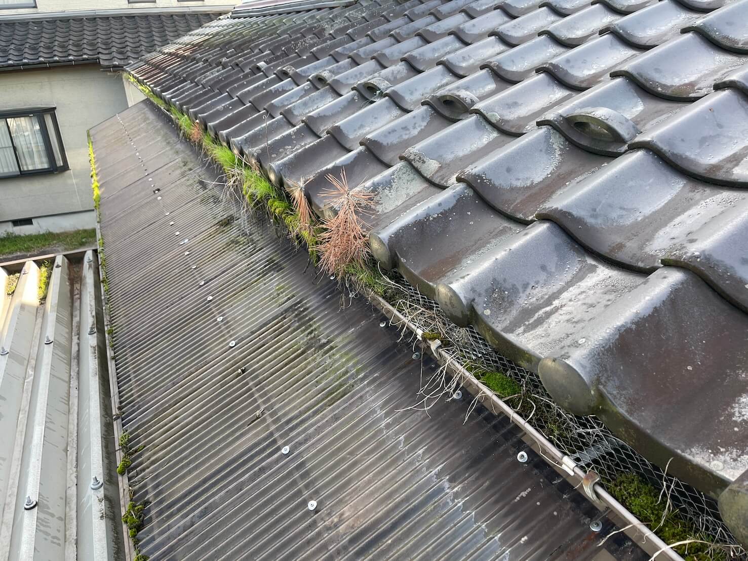 雨樋に草や落ち葉や苔がびっしりと溜まり詰まっている施工前の状態